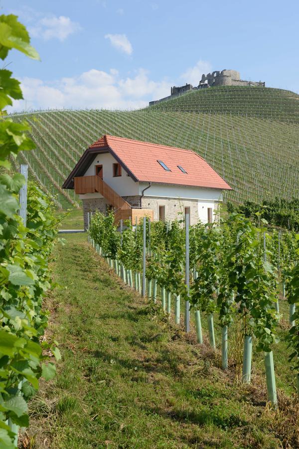 ホテル Weingut Taggenbrunn サンクト フェイト アン デル グラン エクステリア 写真