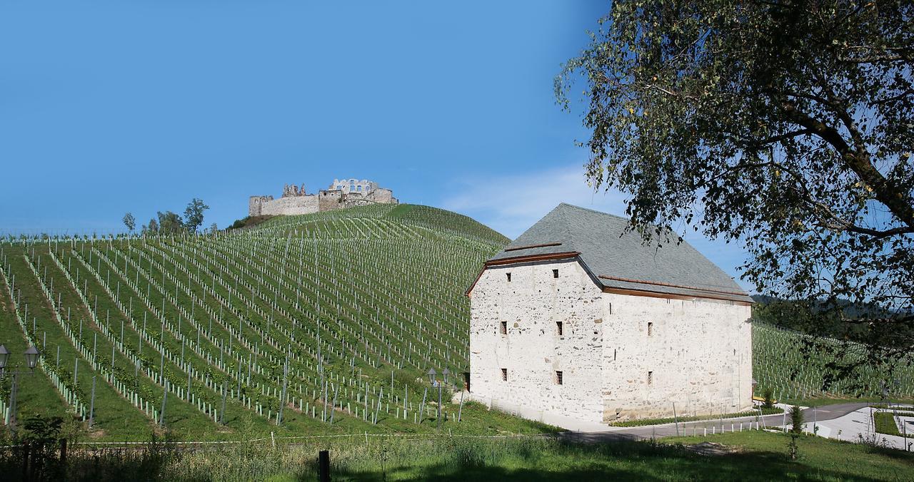 ホテル Weingut Taggenbrunn サンクト フェイト アン デル グラン エクステリア 写真