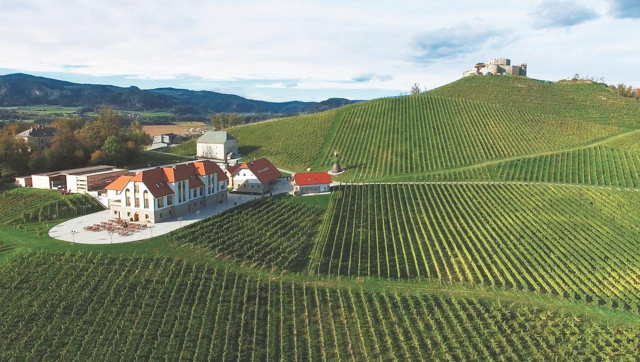 ホテル Weingut Taggenbrunn サンクト フェイト アン デル グラン エクステリア 写真